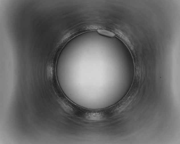 X0000116600063200912181154