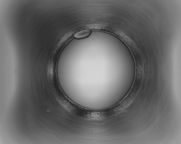 X0000116600064200912181154