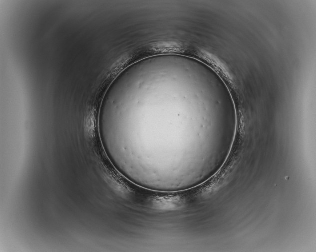 X0000116600065200912181154