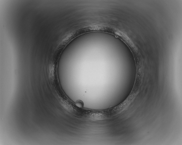 X0000116600066200912181154