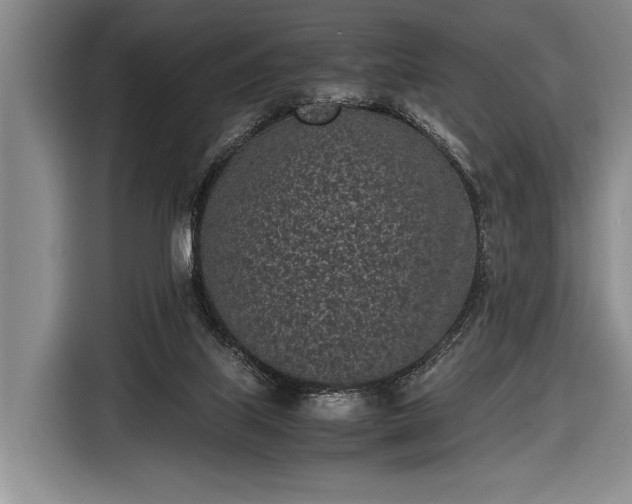 X0000116600067200912181154