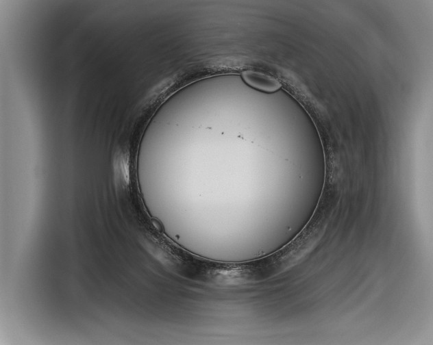 X0000116600068200912181154