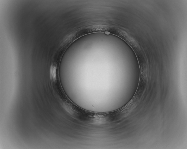 X0000116600070200912181154