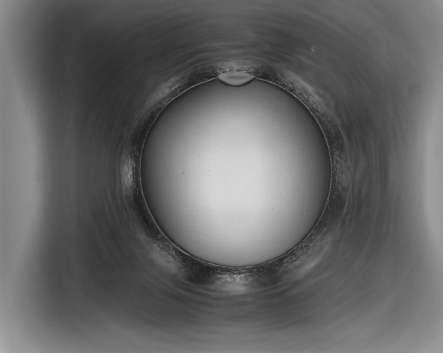 X0000116600071200912181154
