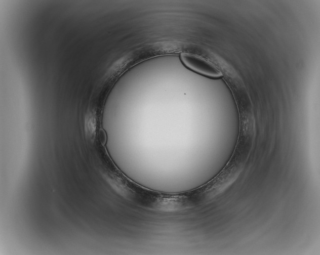 X0000116600072200912181154