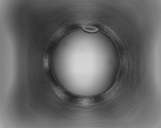 X0000116600074200912181154