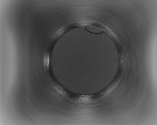 X0000116600076200912181154