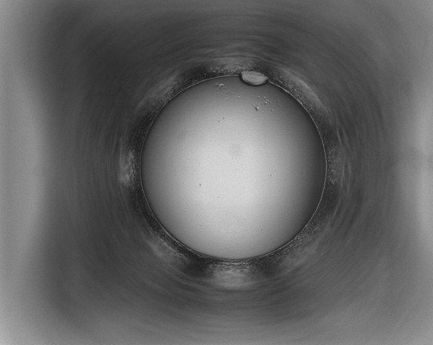 X0000116600077200912181154