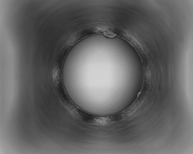 X0000116600079200912181154