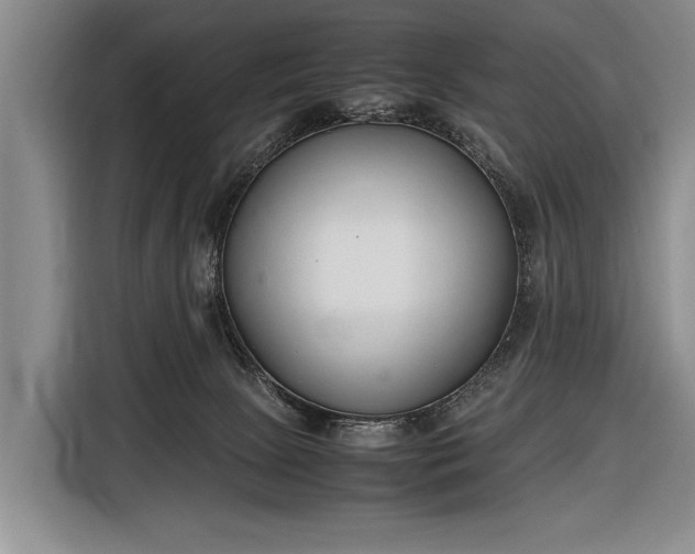 X0000116600081200912181154