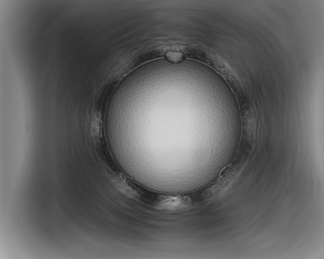 X0000116600083200912181154