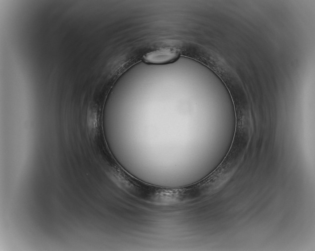 X0000116600084200912181154