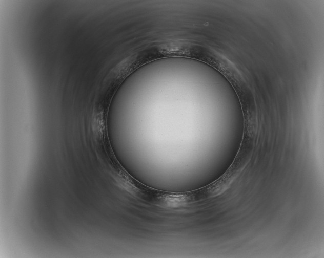 X0000116600085200912181154