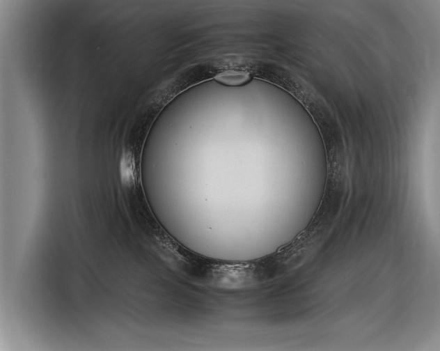 X0000116600089200912181155