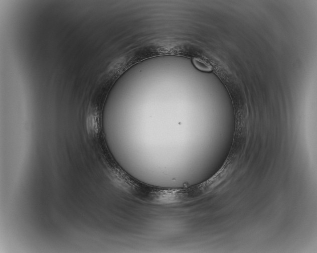X0000116600090200912181155