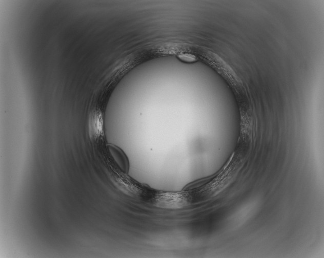 X0000116600095200912181155