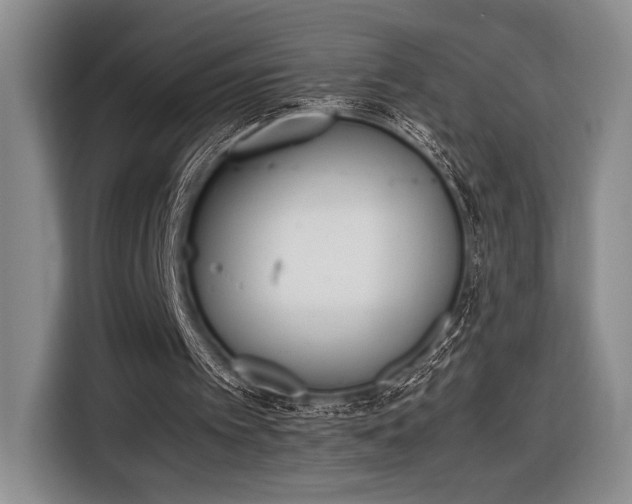 X0000116600097200912181154