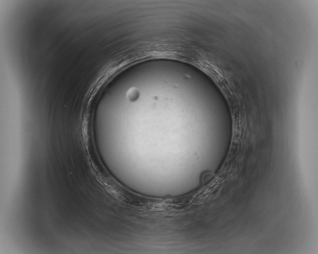 X0000116600098200912181154