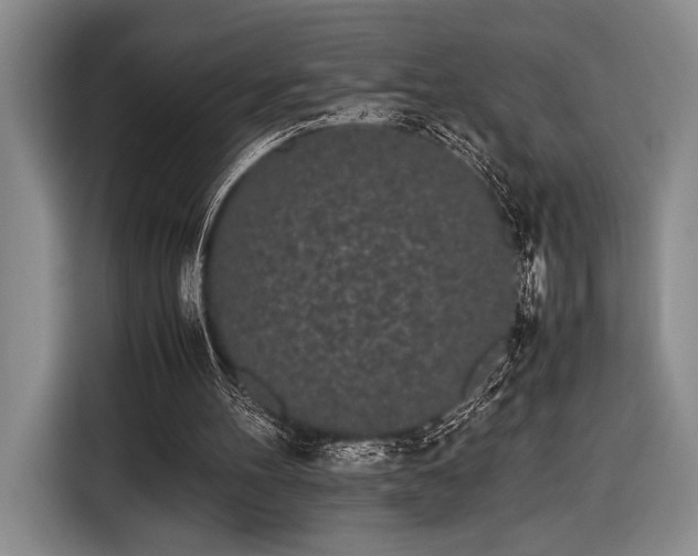 X0000116600100200912181154