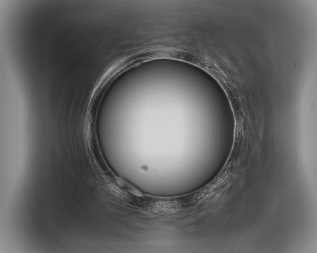 X0000116600101200912181154