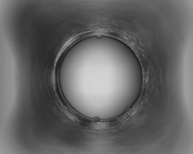 X0000116600102200912181154