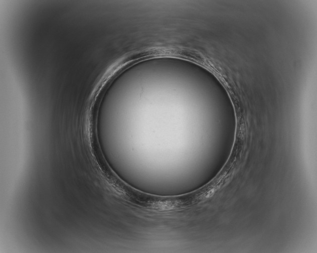 X0000116600103200912181154