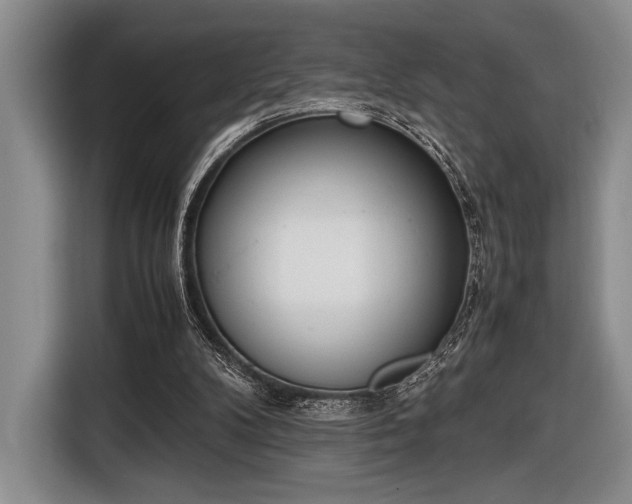 X0000116600104200912181154