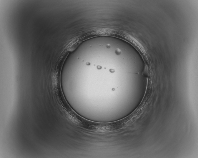 X0000116600105200912181154