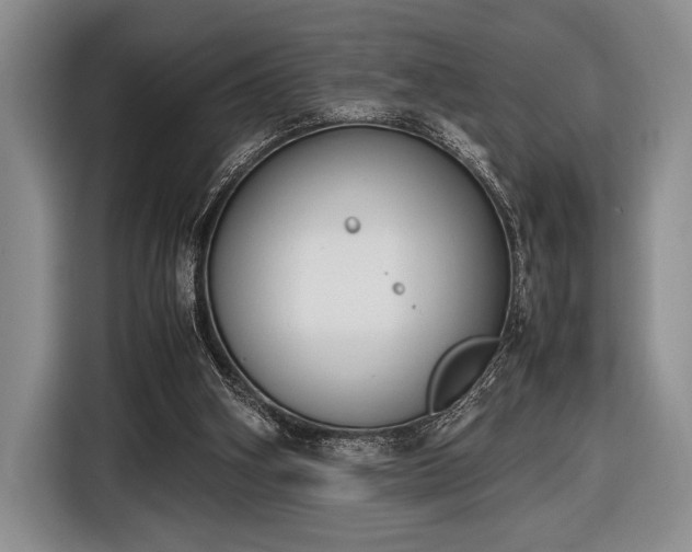 X0000116600106200912181154