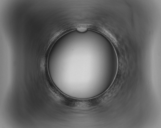 X0000116600107200912181154