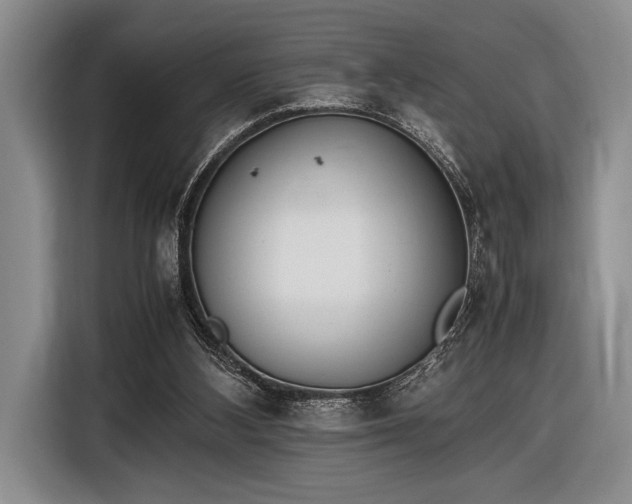X0000116600108200912181154
