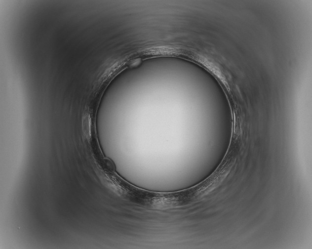 X0000116600109200912181154