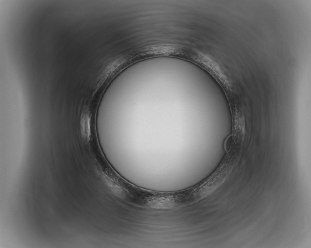 X0000116600110200912181154