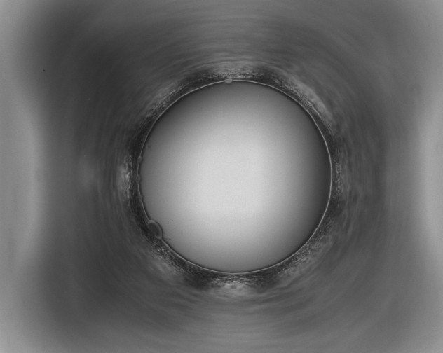 X0000116600113200912181154