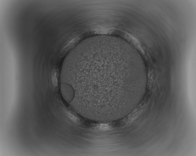 X0000116600114200912181154