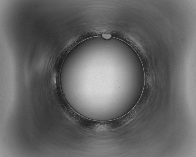 X0000116600115200912181154