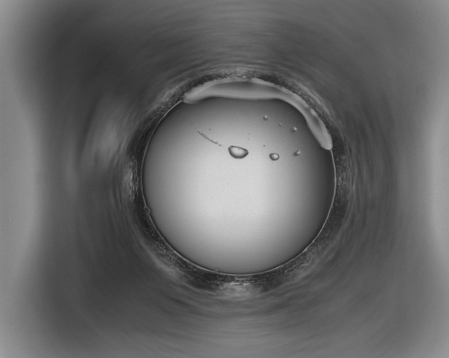 X0000116600119200912181154