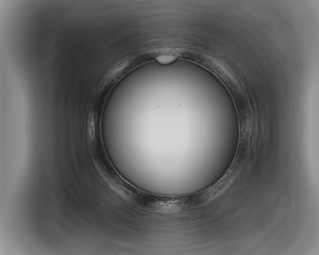 X0000116600120200912181154