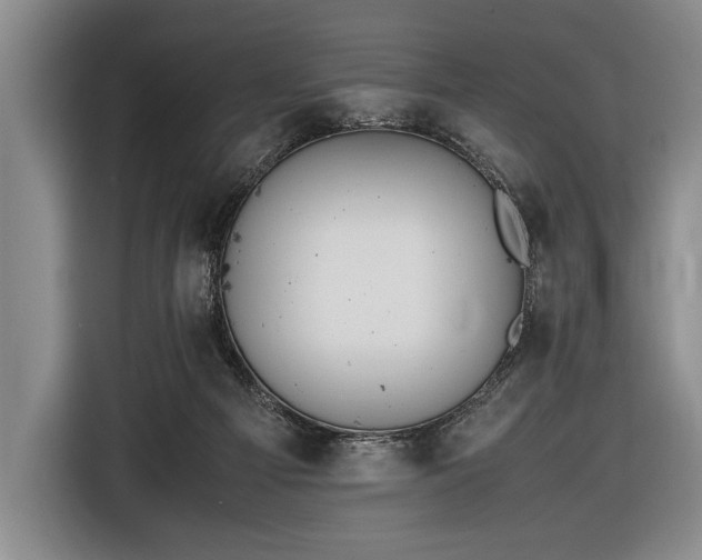 X0000116600121200912181154