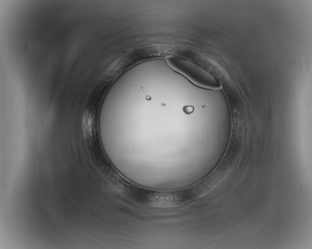 X0000116600123200912181154