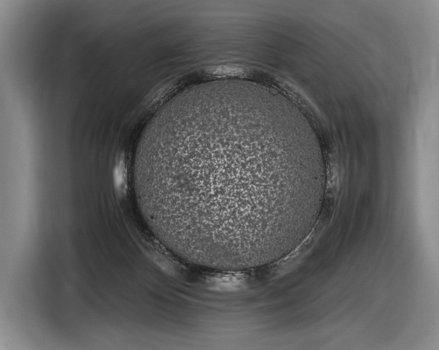 X0000116600124200912181154