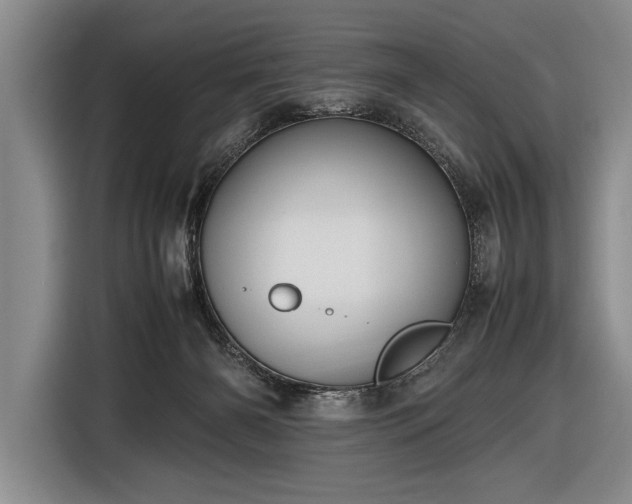 X0000116600126200912181154