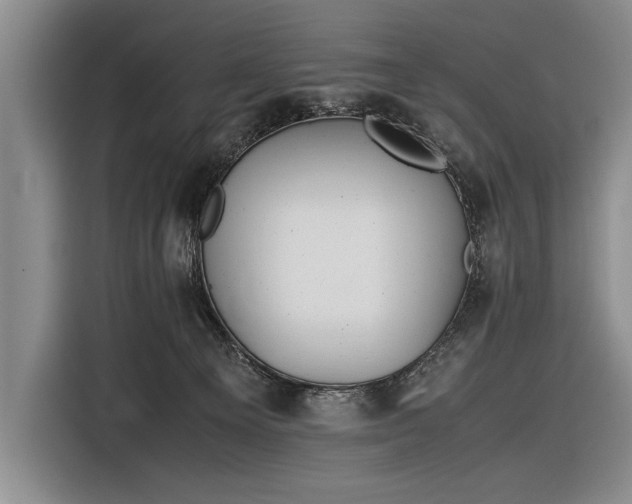 X0000116600129200912181154
