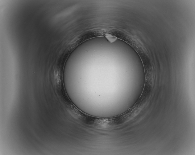 X0000116600131200912181154