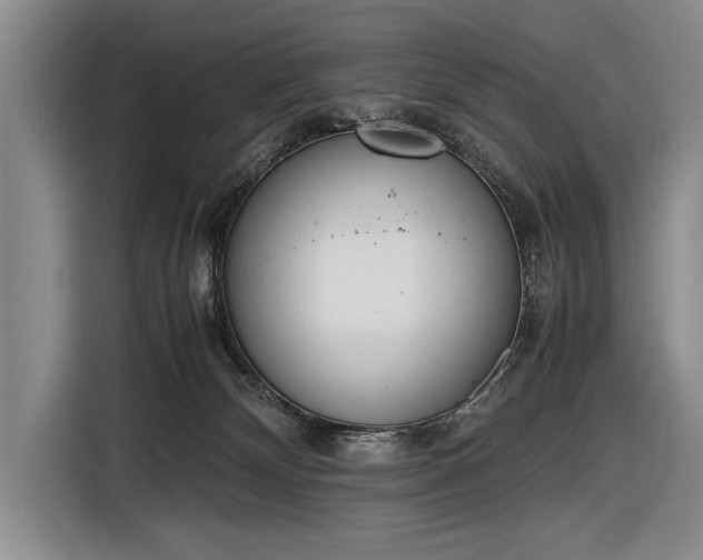 X0000116600132200912181154