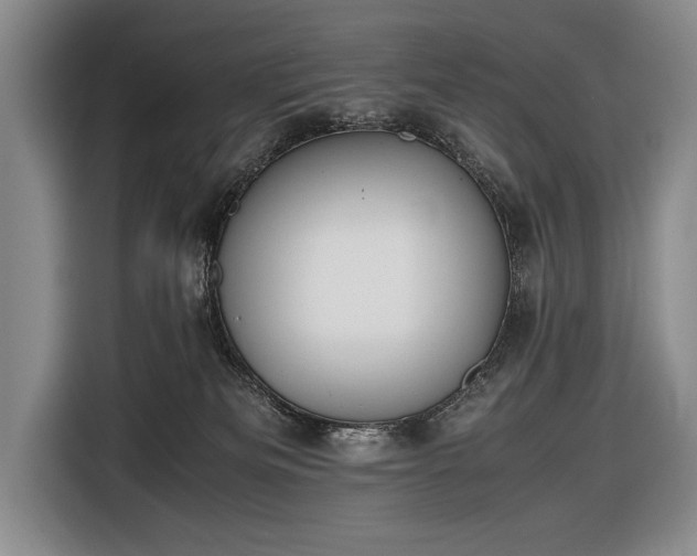 X0000116600133200912181153