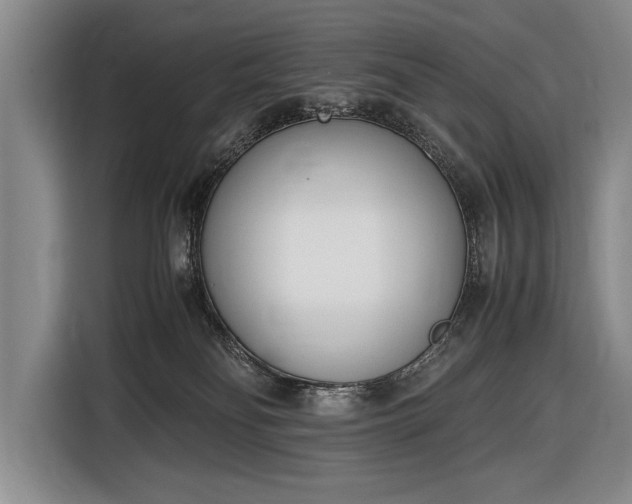 X0000116600134200912181153