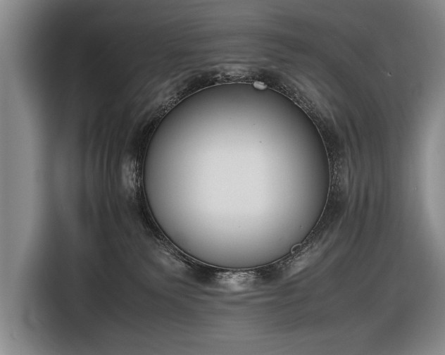 X0000116600135200912181153
