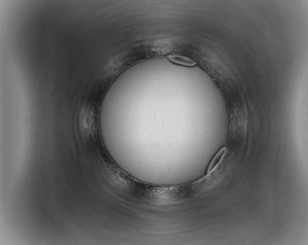X0000116600136200912181153