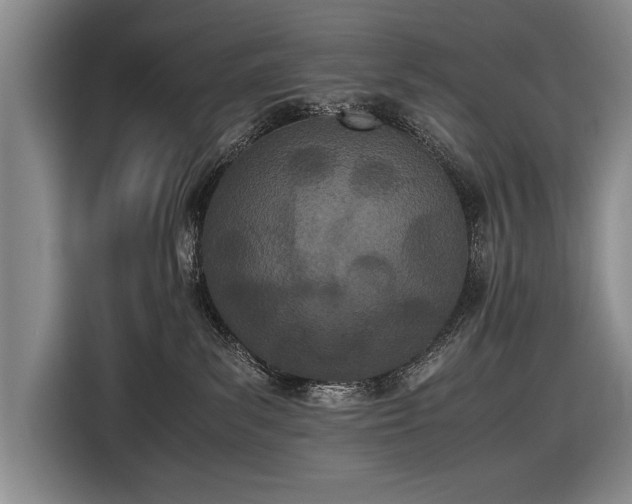X0000116600139200912181153